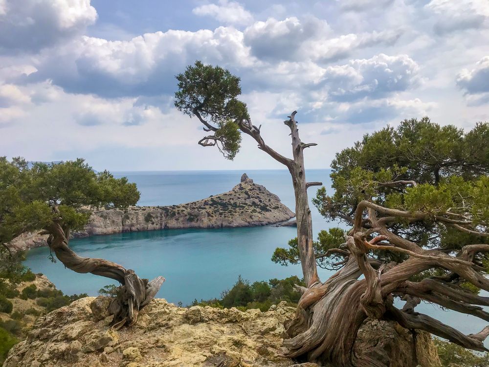 Photograph by Виктор Белименко