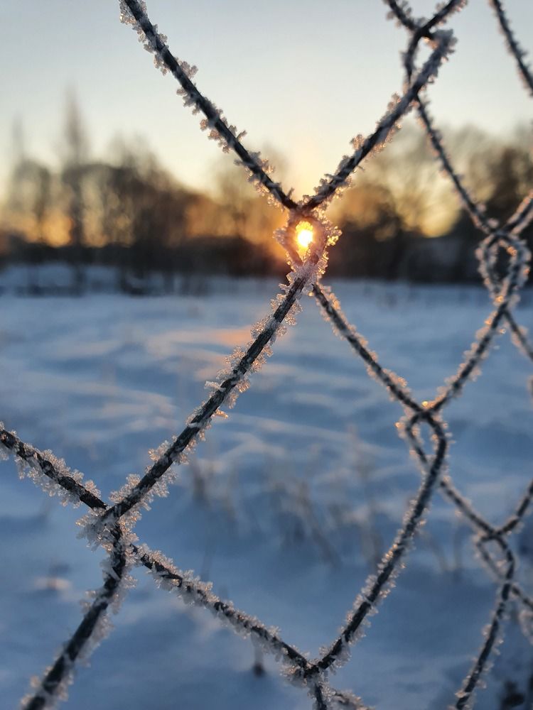 Photograph by Иван Соловьёв