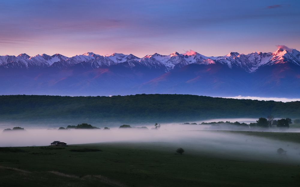 Фотография автора Flegner Calin