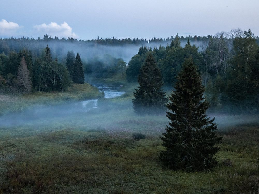 Photograph by Svetlana Dorokhova