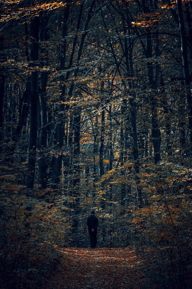 Photograph by Виталий