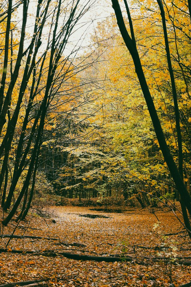 Photograph by Виталий