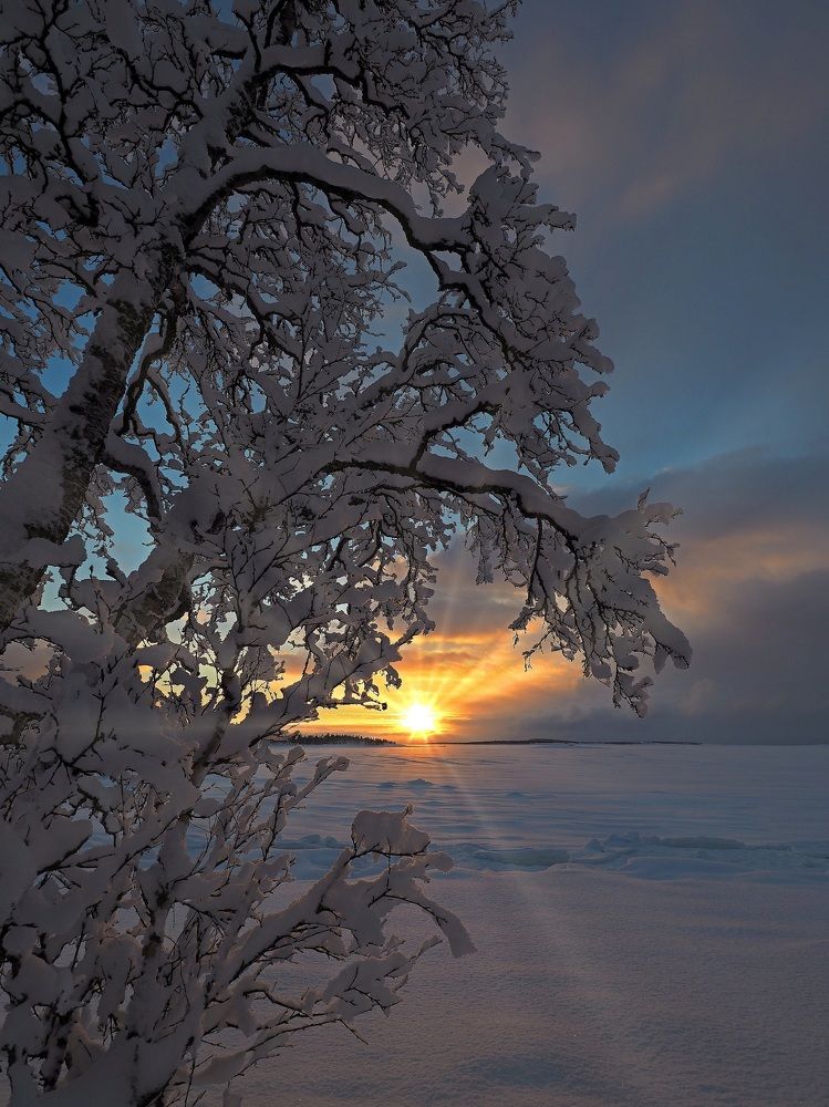 Photograph by Евгений Яковлев