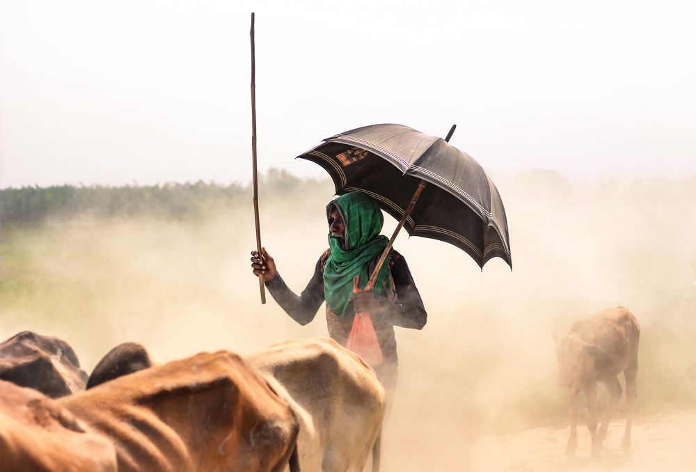 Photograph by Arpon paul