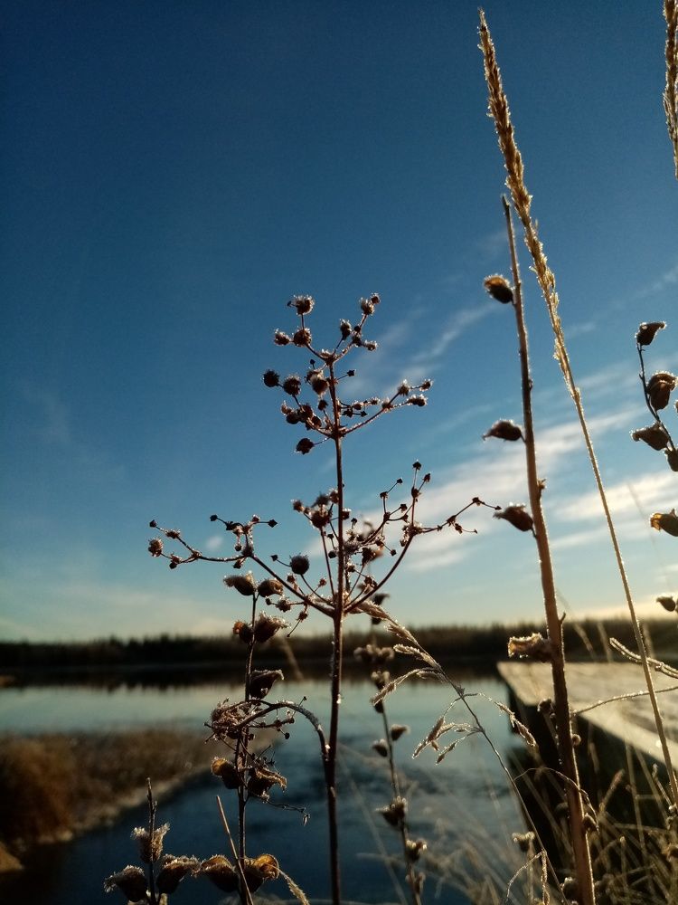 Photo #7319438