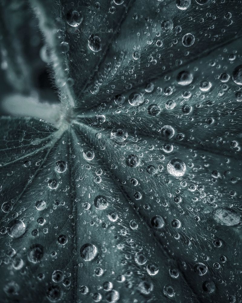 Photograph by Алексей