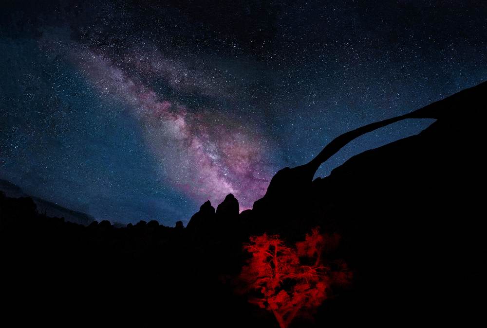 Photograph by Alperr Padiernos