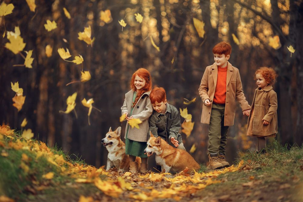 Photograph by Костюк Зоя