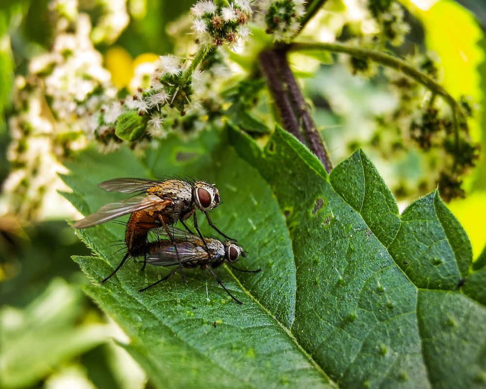 Фотография автора Дмитрий