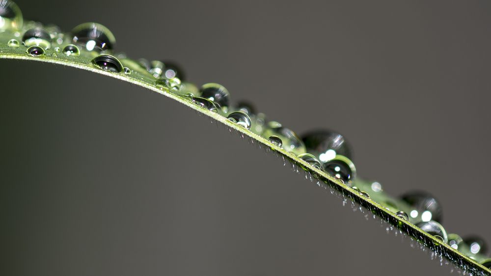 Photograph by Александр Гурьянов