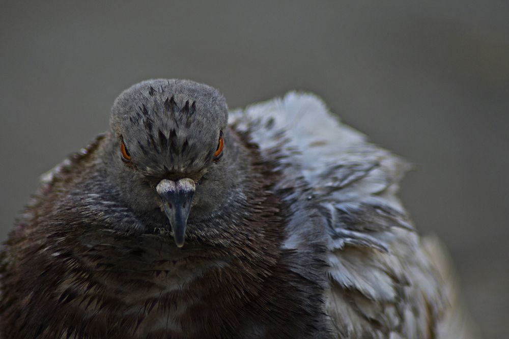 Photograph by Faten Aouini Ben Ahmad