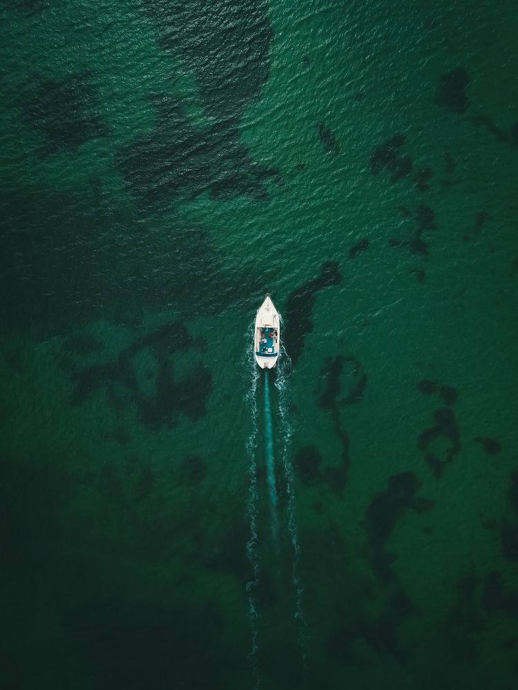 Photograph by Дмитрий Копылов