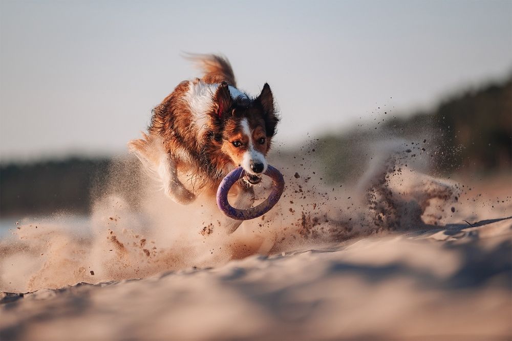 Photograph by Анастасия Пикей