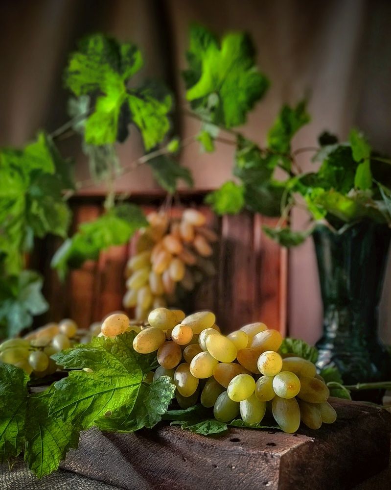 Photograph by Irina Grass