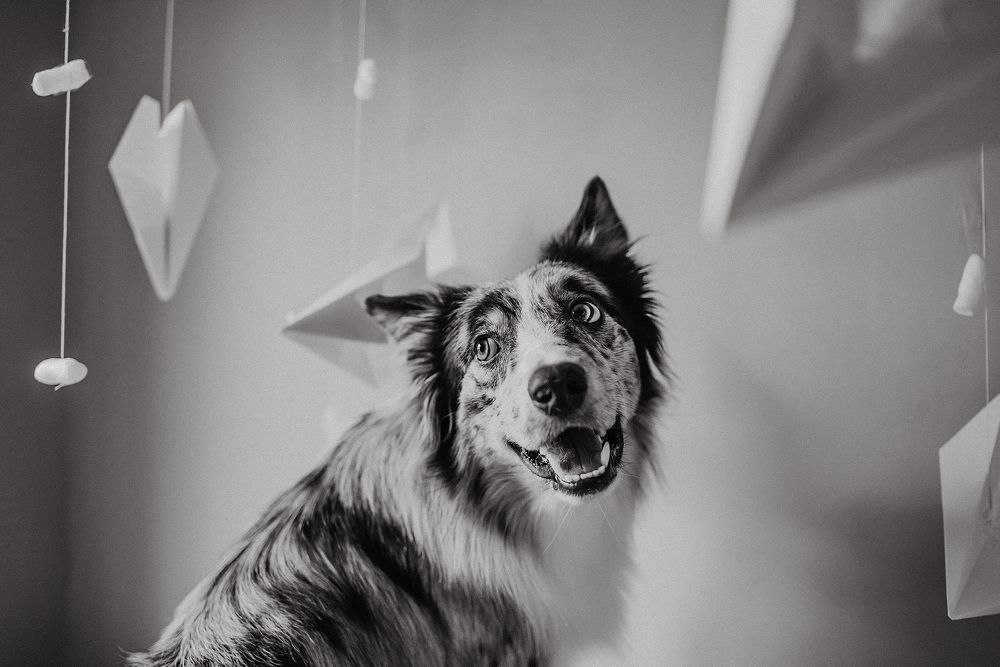 Photograph by Анастасия Пикей