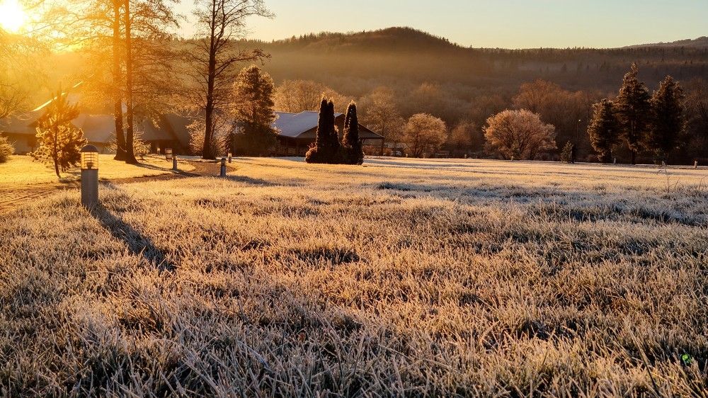 Photograph by Александр Денисенко