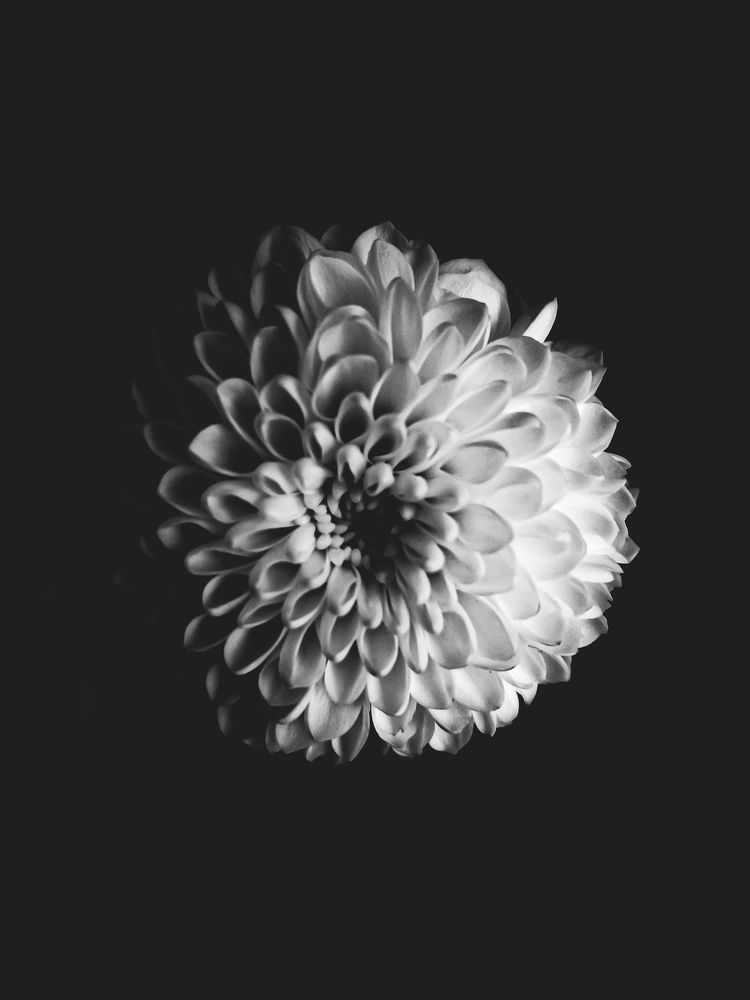 Фотография автора Оля Алехнович