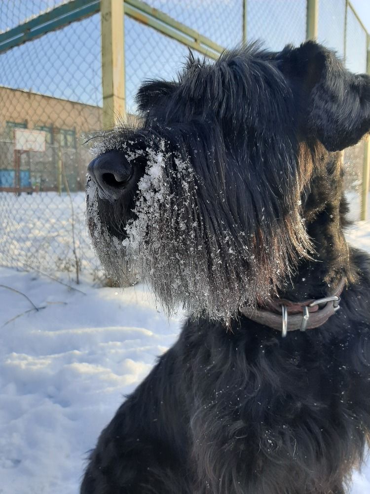 Photograph by Ксения Цветкова