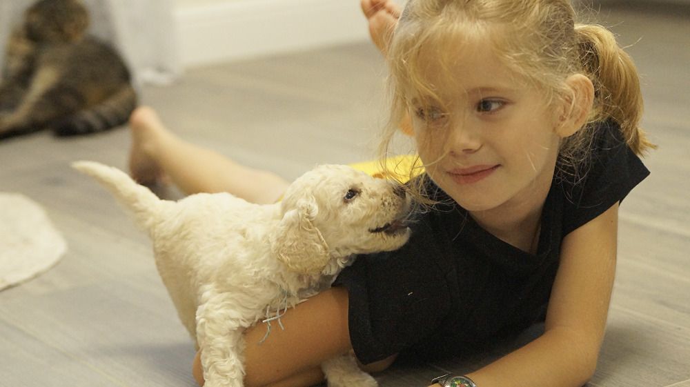 Photograph by Ольга Розенберг