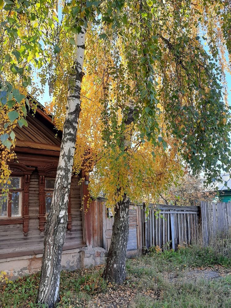 Photograph by Ксения Цветкова