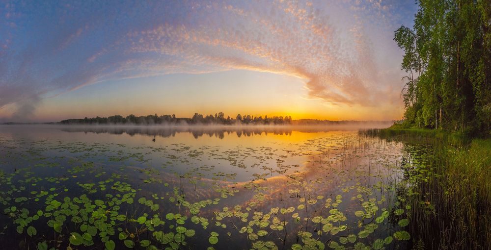 Photograph by Станислав Напалкин