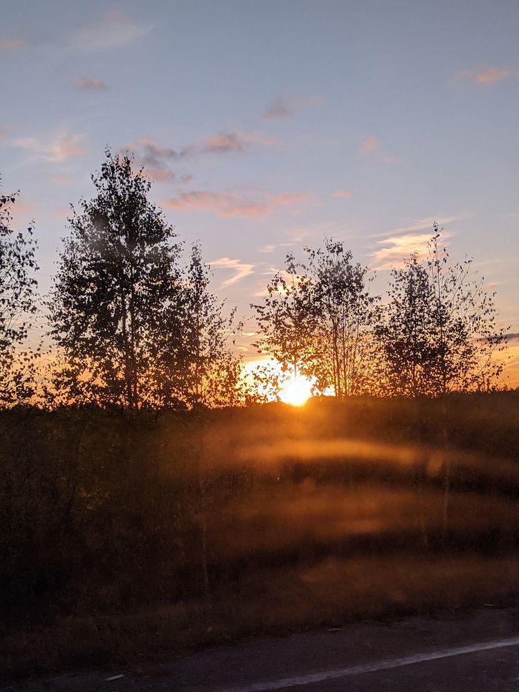 Photograph by Светлана