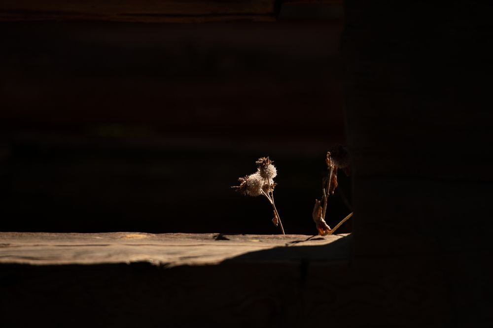 Photograph by Olga Lyubochkina