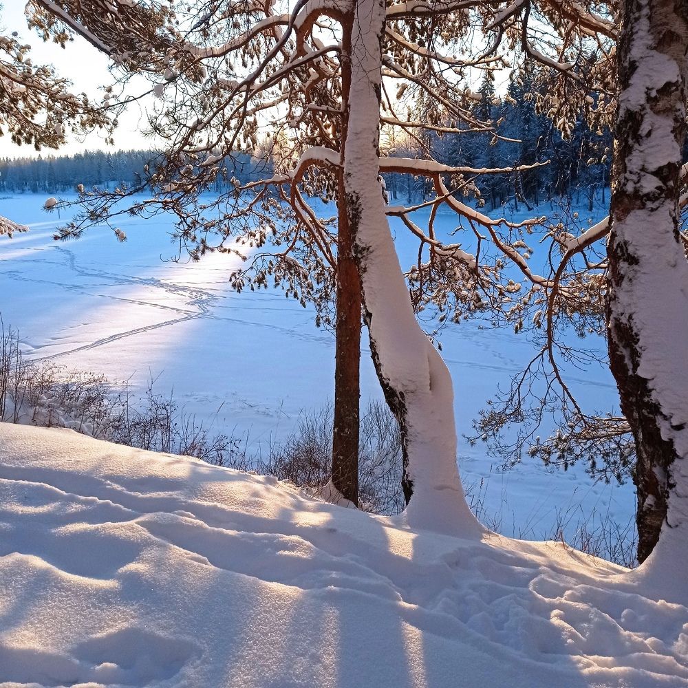 Photograph by Шумар Михайлович