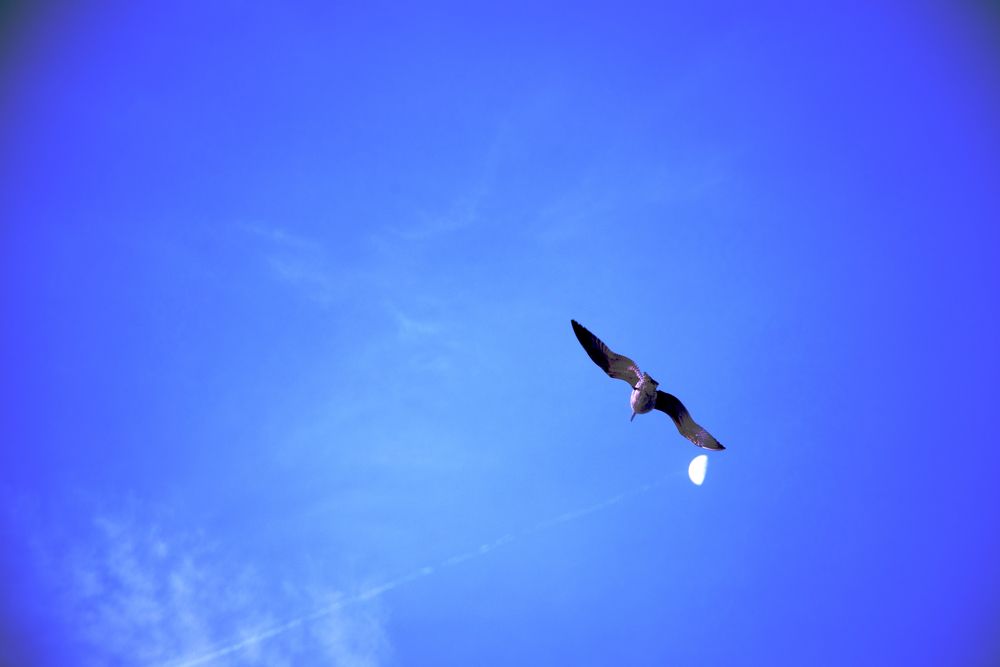 Photograph by Shukhrat Tulyaganov