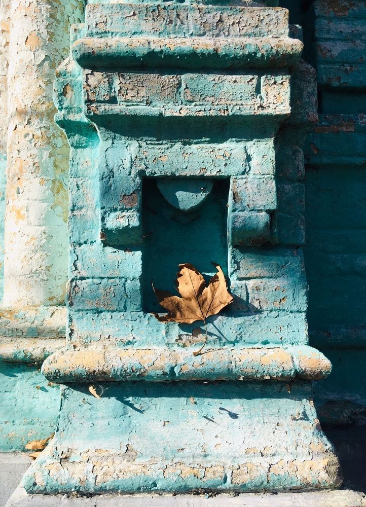 Photograph by Александра Боброва