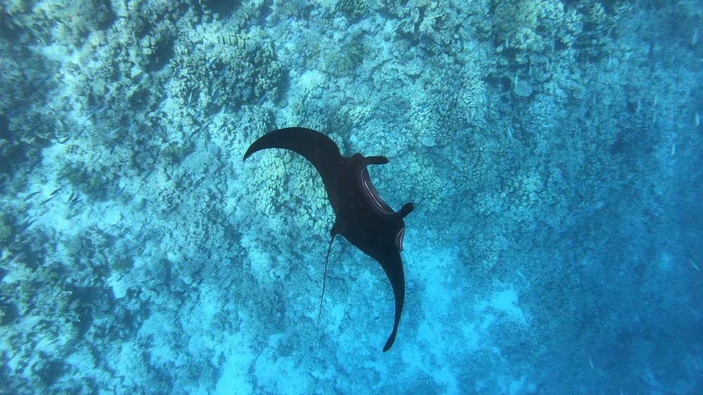 Photograph by Мария Берёзка