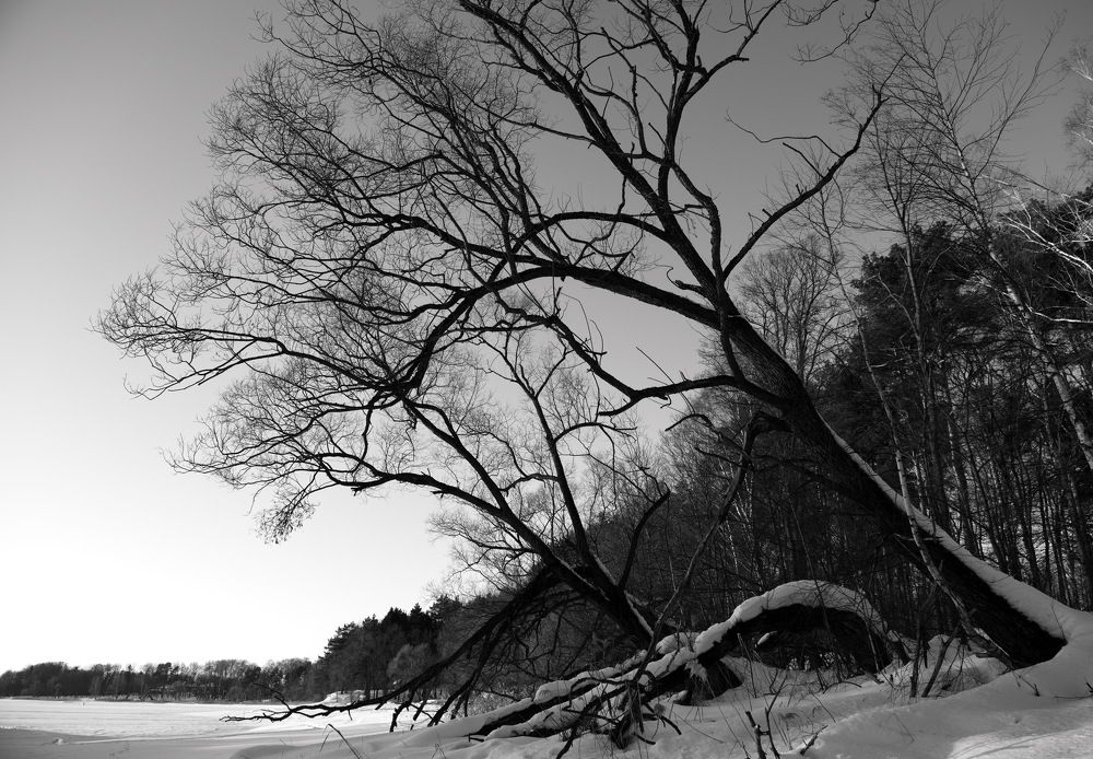 Photograph by Александр Кращук