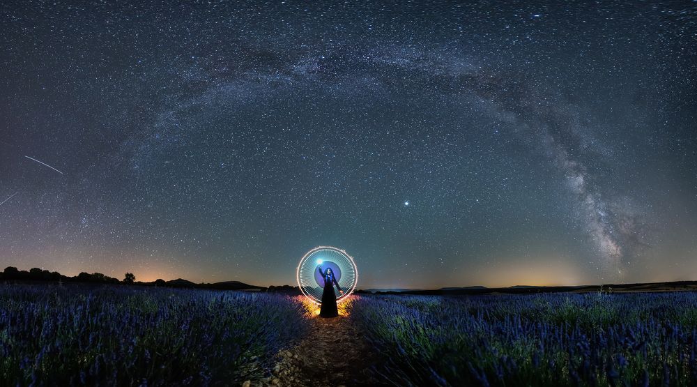 Campos de Lavanda de Mecerreyes