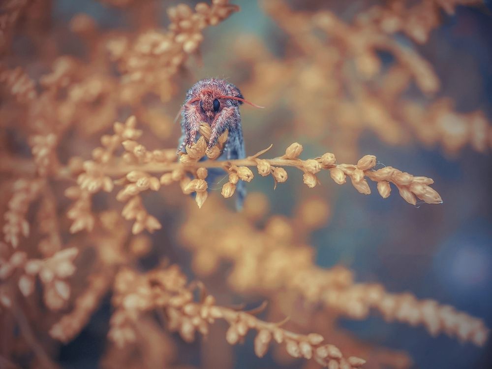 Photograph by Алексей