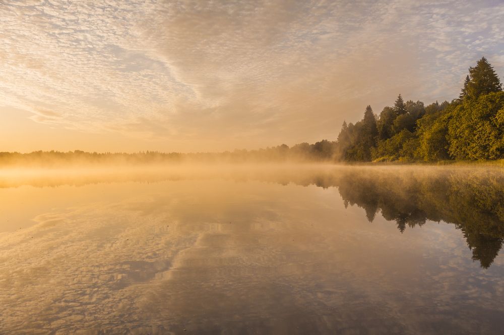 Photograph by Станислав Напалкин