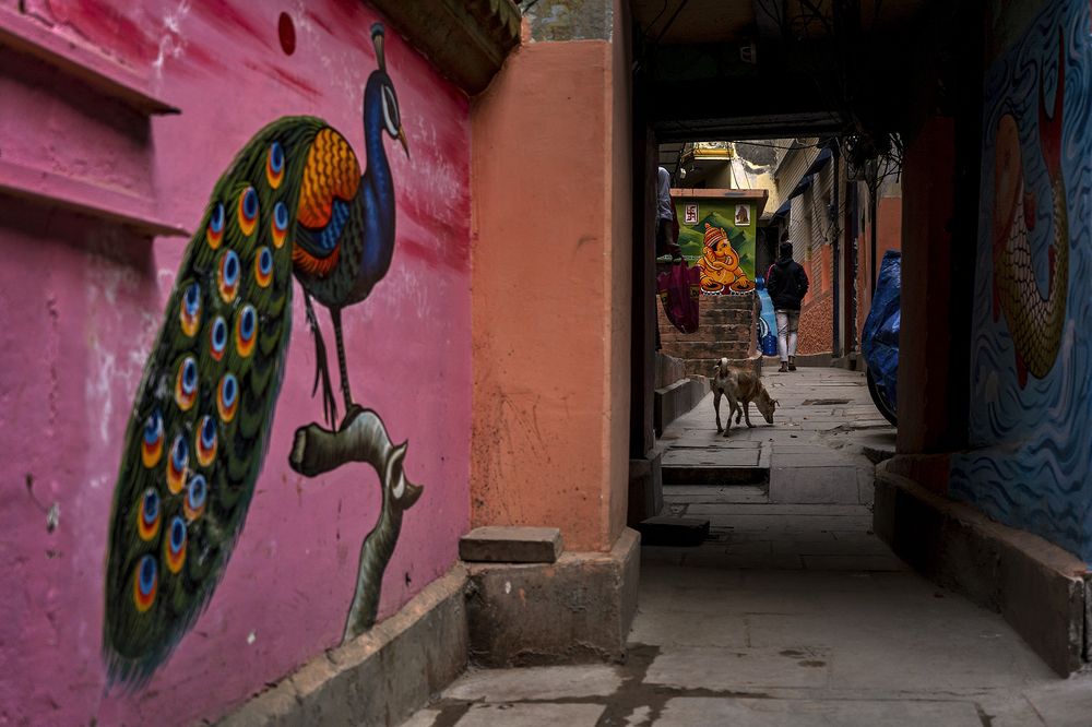 Photograph by Nabanita Das