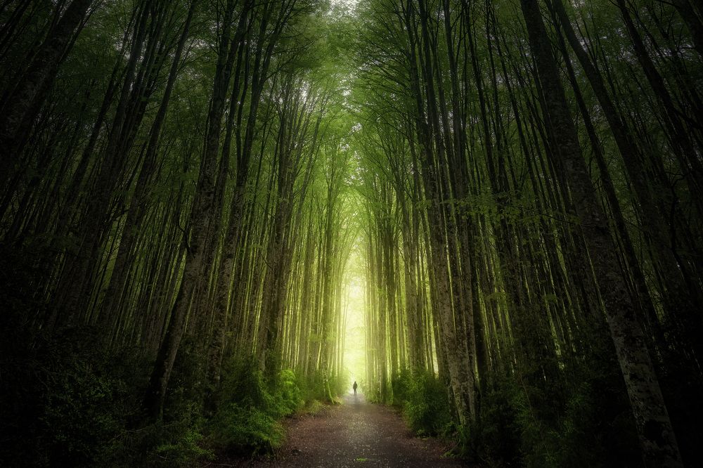 Photograph by Unai Larraya