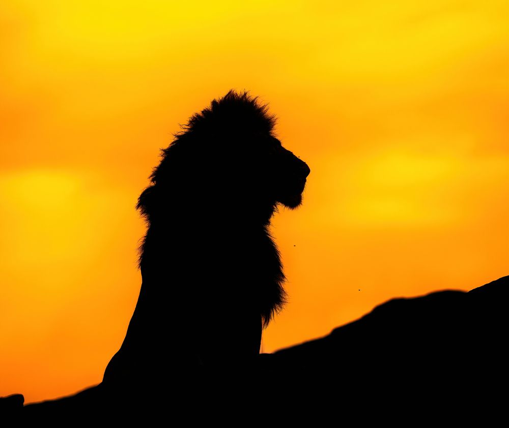 Фотография автора Rajharsha Narayanswamy