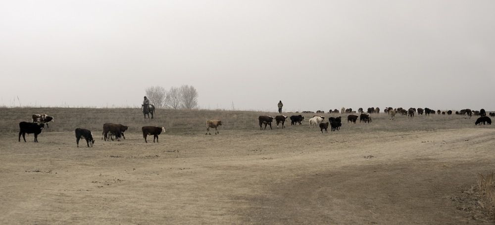 Photograph by Дмитрий Дрозд