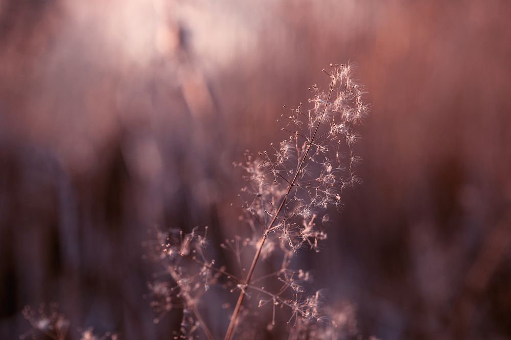 Photograph by Lisowska Monika