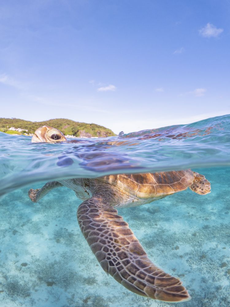 Photograph by Miura Erika