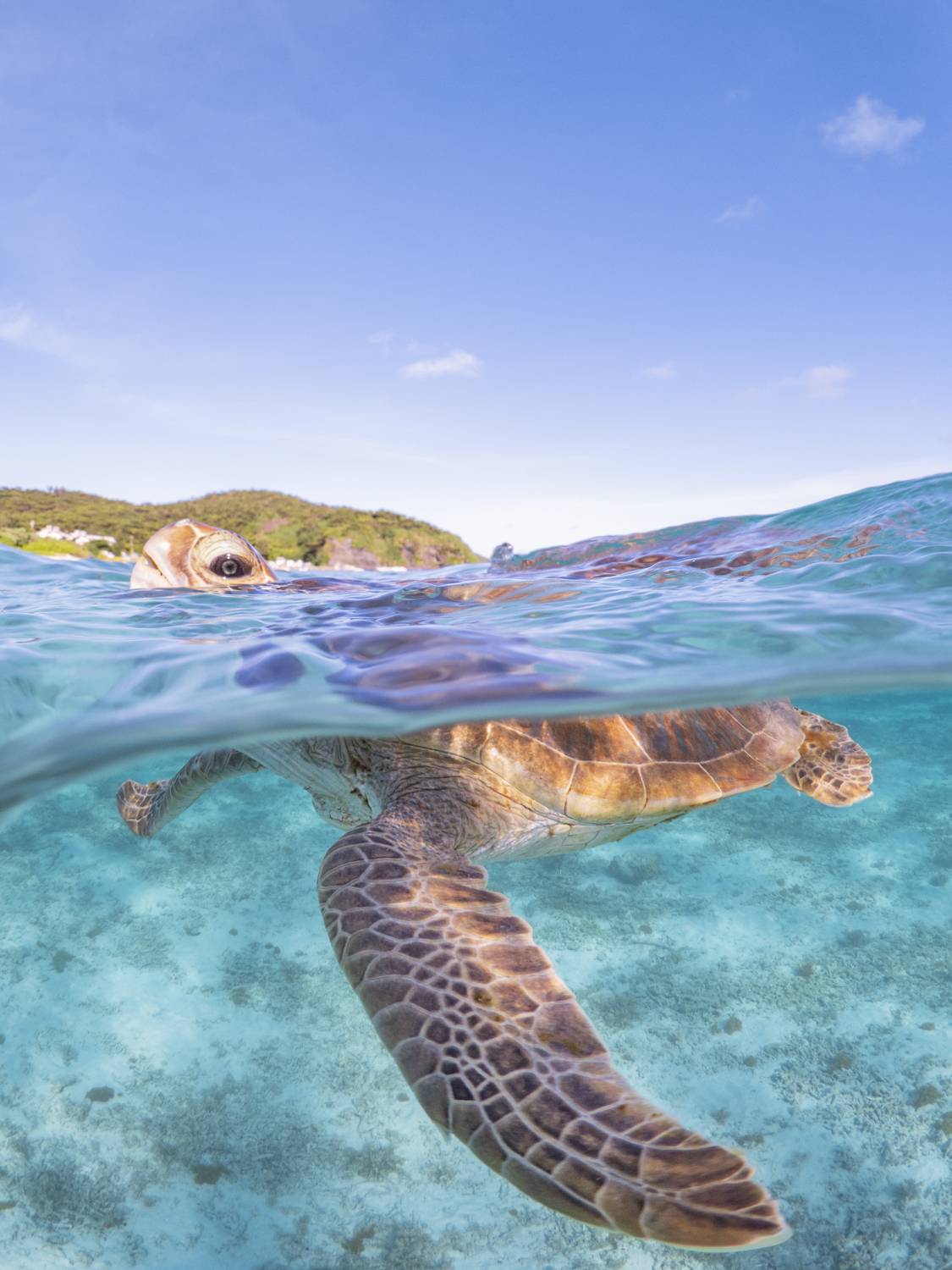 Фотография #7320167