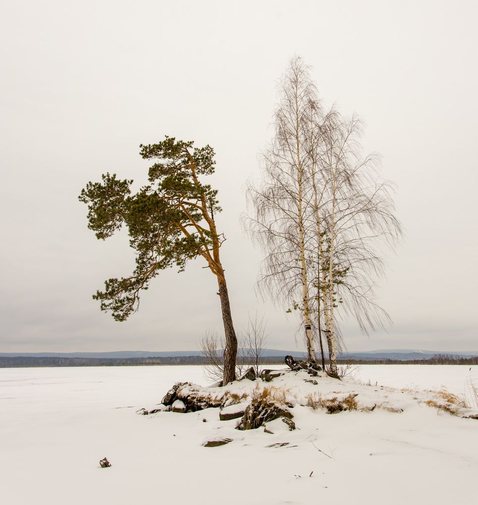 Photograph by Максим Фролов