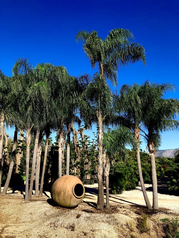 Photograph by Ольга Левенец