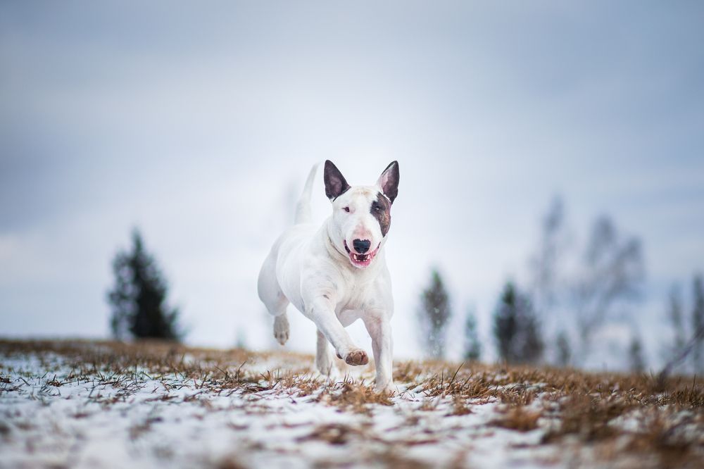 Photograph by Monika Kučerová