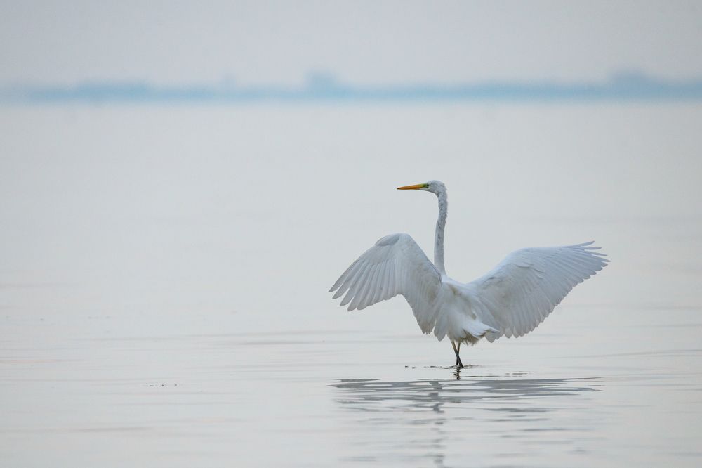 Photograph by Gatis Vilbrants