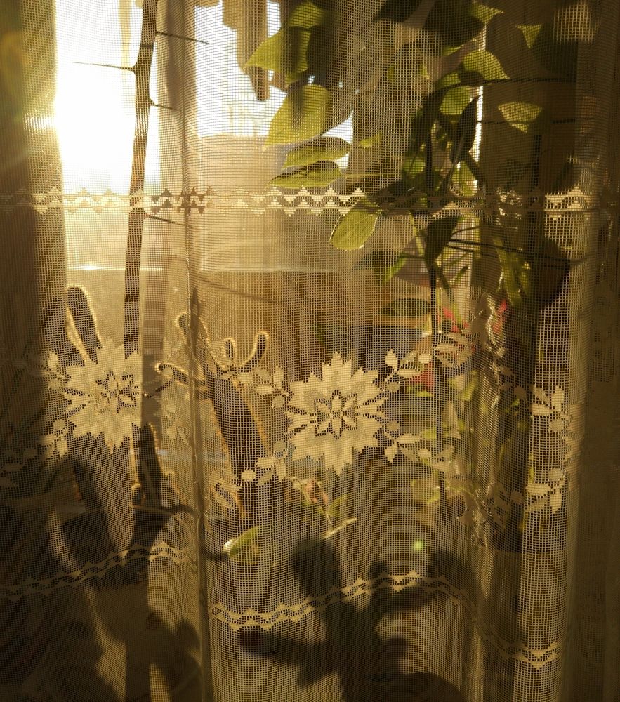 Photograph by Богдан