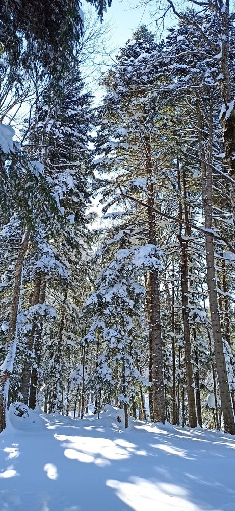 Photograph by Дмитрий Хайбулин