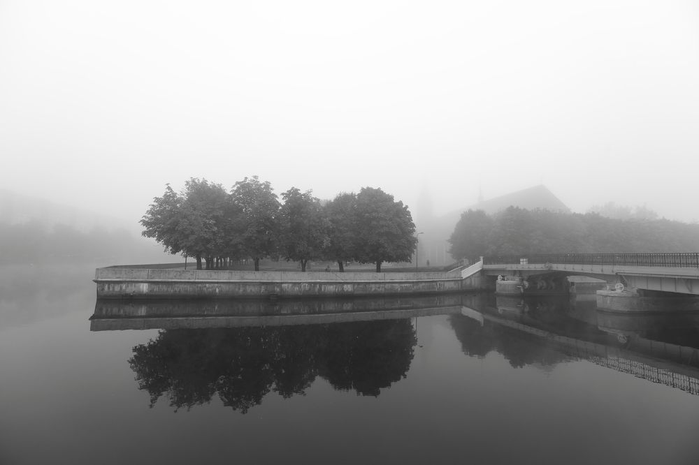 Туманное осеннее утро в Калининграде