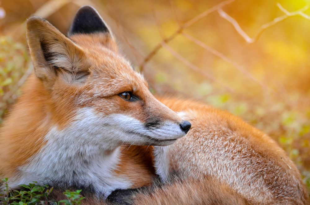 Photograph by Вероника Романенко